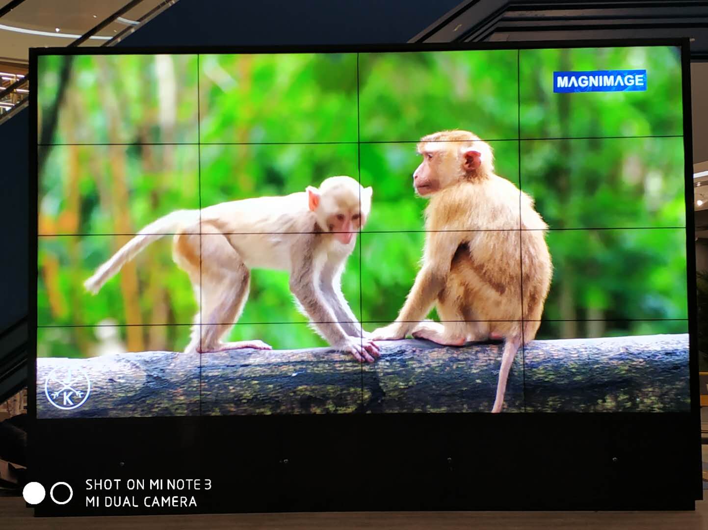 黃岡某書(shū)店46寸4×4 黃岡某書(shū)店46寸4×4