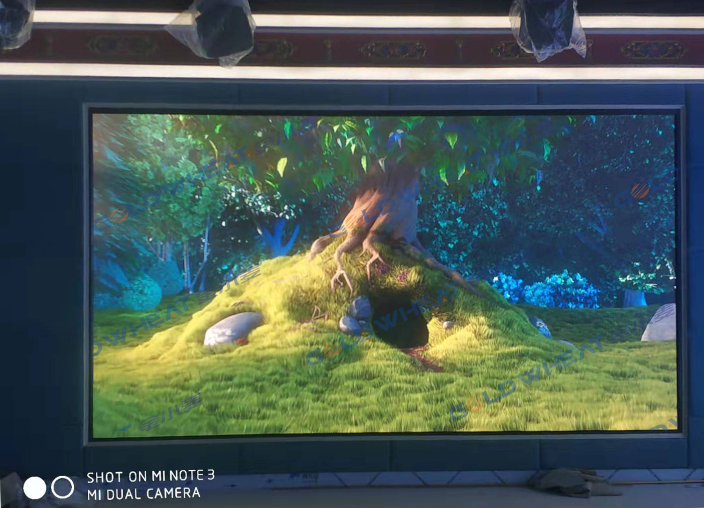 青海省某電視臺室內Q2全彩 青海省某電視臺室內Q2全彩