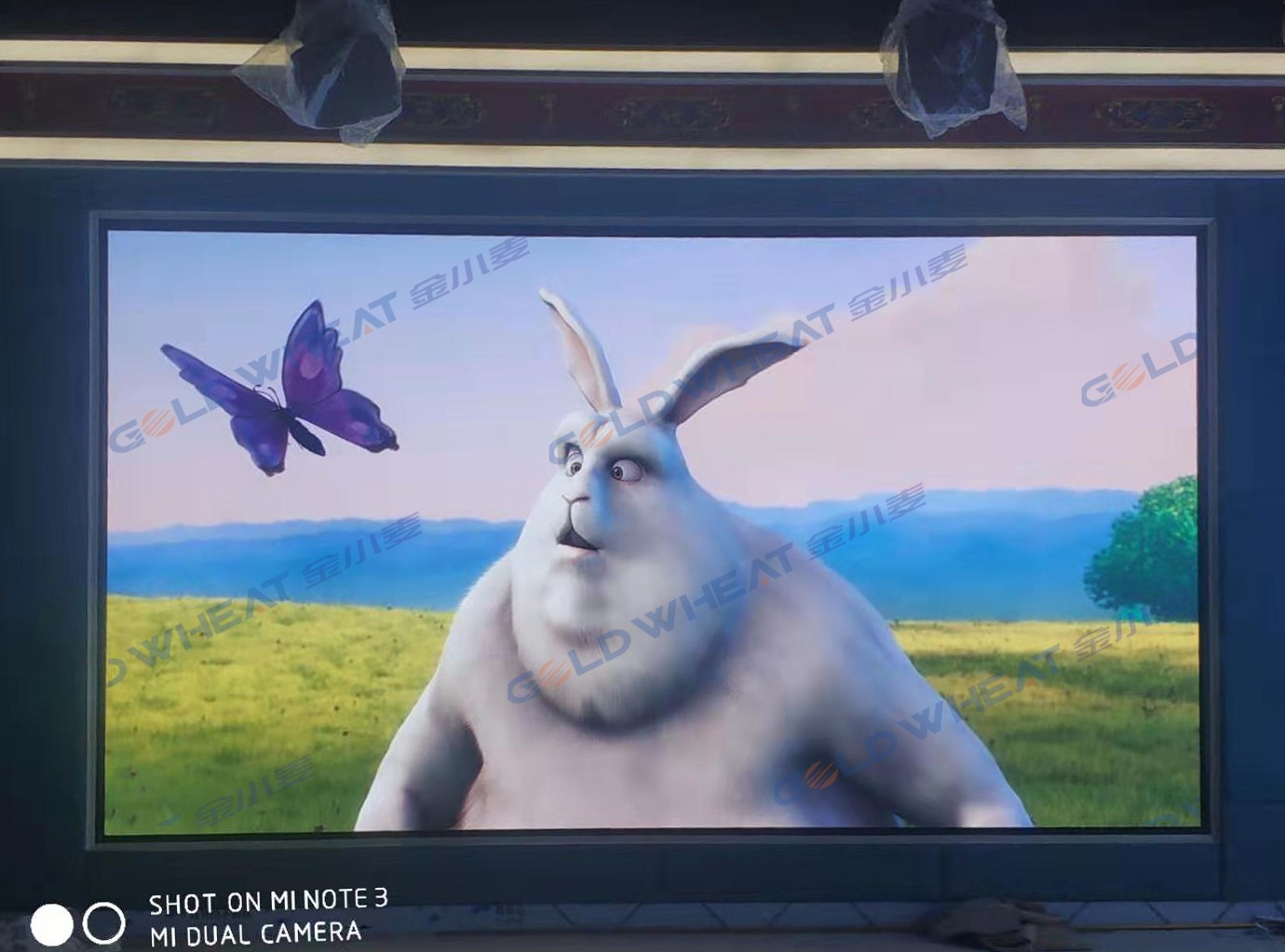 探索顯示屏的多樣性：液晶、有機(jī)發(fā)光二極管和曲面屏幕